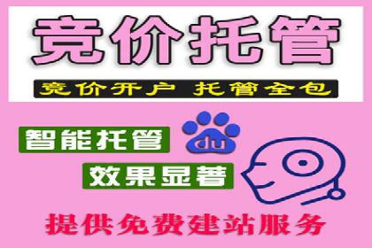 搜索引擎营销（SEM）托管服务在某企业的成功应用